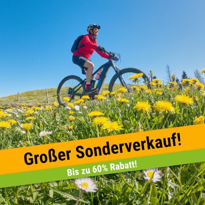 Frühlingstag Dekobild